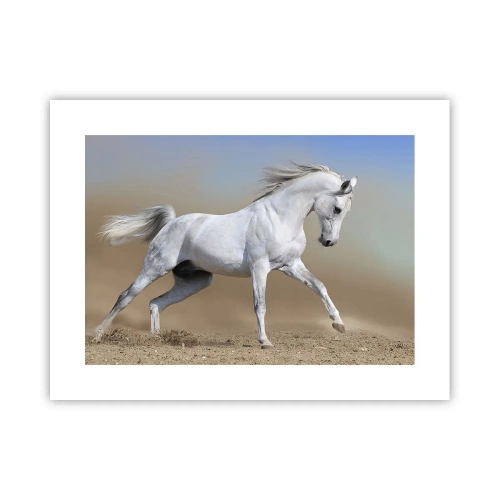 Plakát - Nejkrásnější arabská pohádka - 40x30 cm