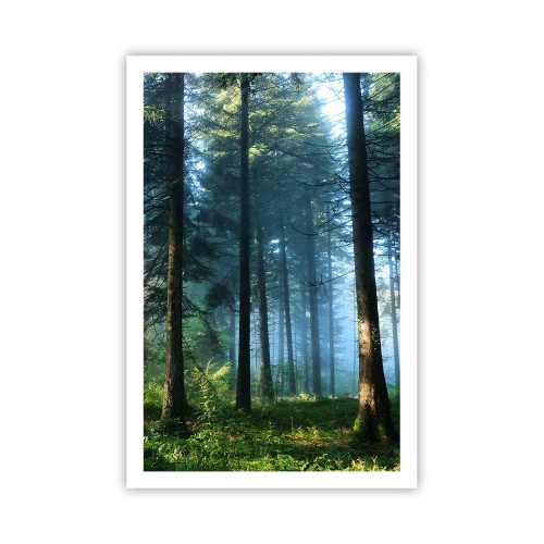 Plakát - Zářící za úsvitu - 61x91 cm