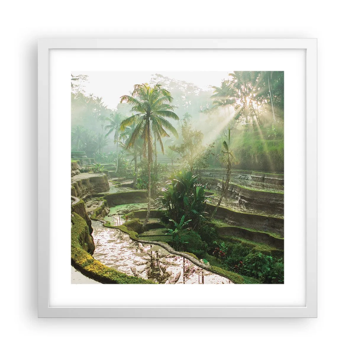 Plakát v bílém rámu - Vyrůstát na slunci - 40x40 cm