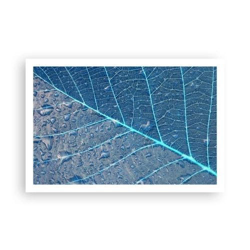 Plakát - Život v modři - 91x61 cm