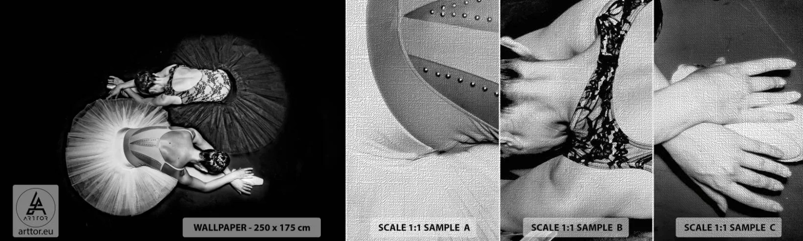 Vzor Fototapety Premium Canvas - Jin a jang – dokonalá rovnováha - Balerína, Balet, Tanec - 100x30 cm