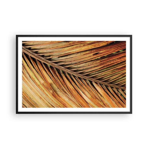 Plakát v černém rámu - Kokosové zlato - 91x61 cm