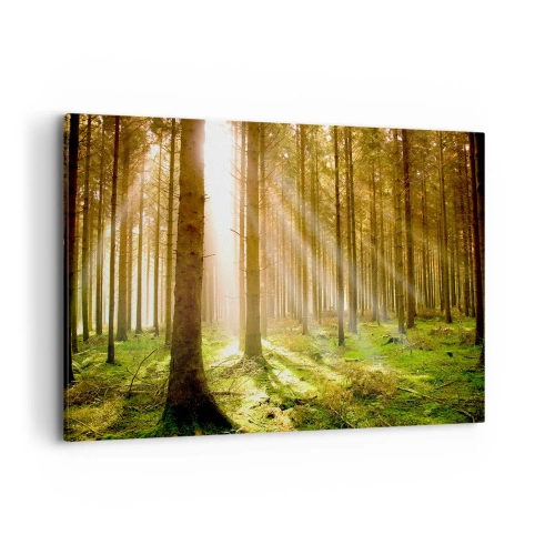 Obraz na plátně - Brzy se objeví elfové - 120x80 cm
