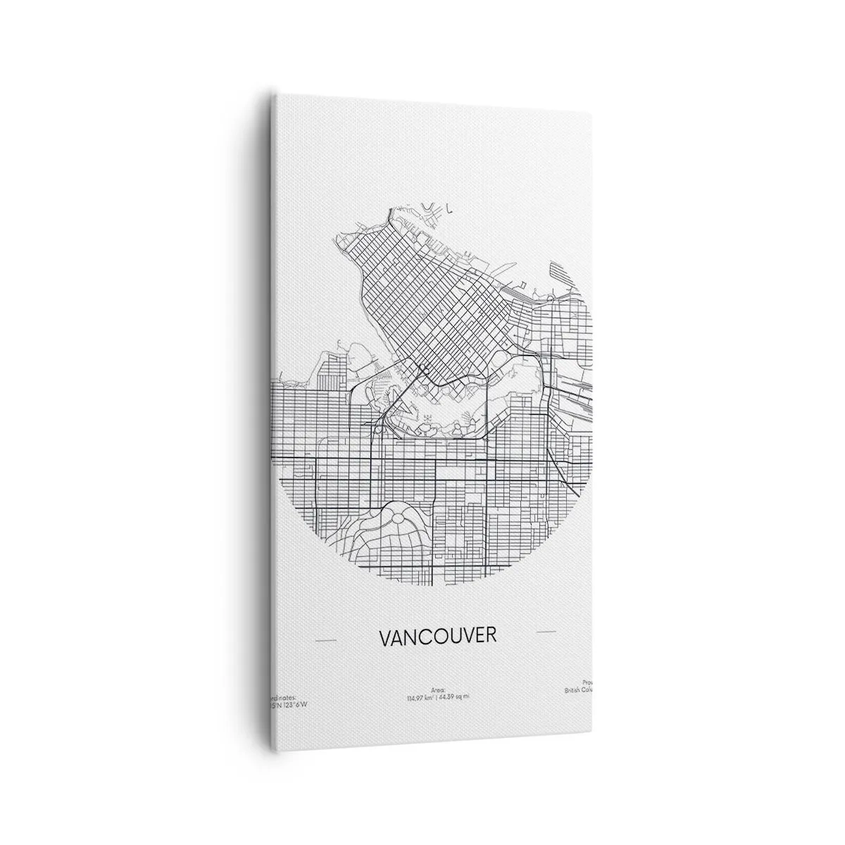 Obraz na plátně - Anatomie Vancouveru - 55x100 cm