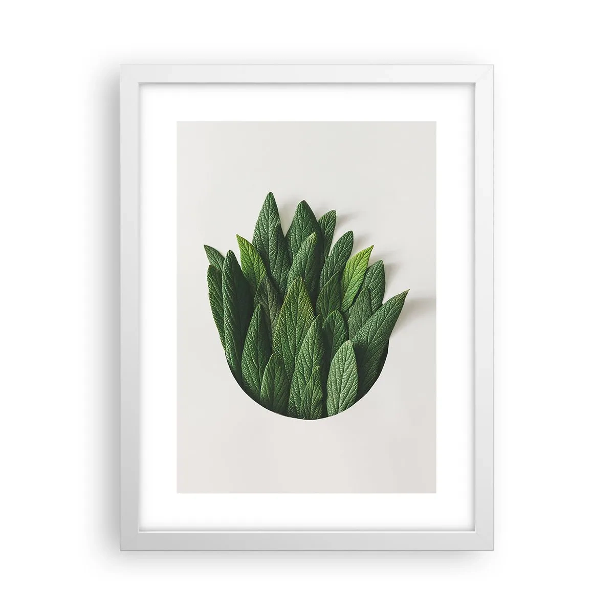 Plakát v bílém rámu - Neukojitelná zvědavost - 30x40 cm