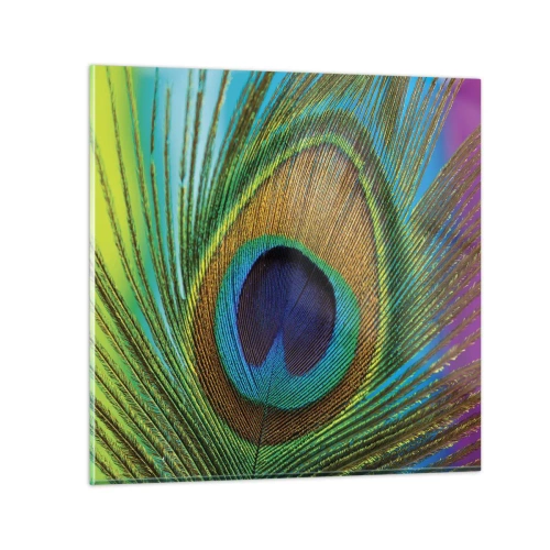 Obraz na skle - Tváří v tvář - 60x60 cm