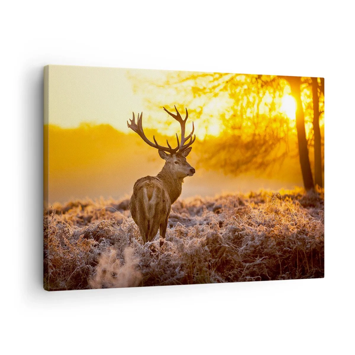 Obraz na plátně - Jelen na pozadí podzimního lesa ozářeného zlatým sluncem - 70x50cm - Král podzimního lesa - Moderní nástěnná dekorace do obývacího pokoje a ložnice ARTTOR