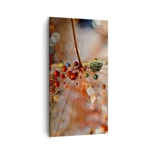 Obraz na plátně - Navlečeno na pavučinu - 55x100 cm