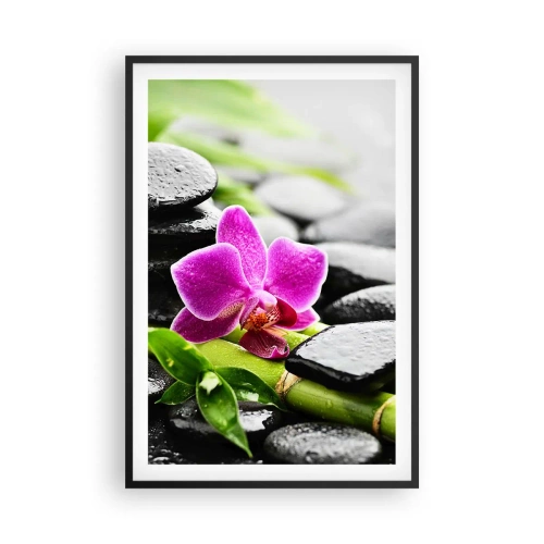 Plakát v černém rámu - V klidné rovnováze - 61x91 cm