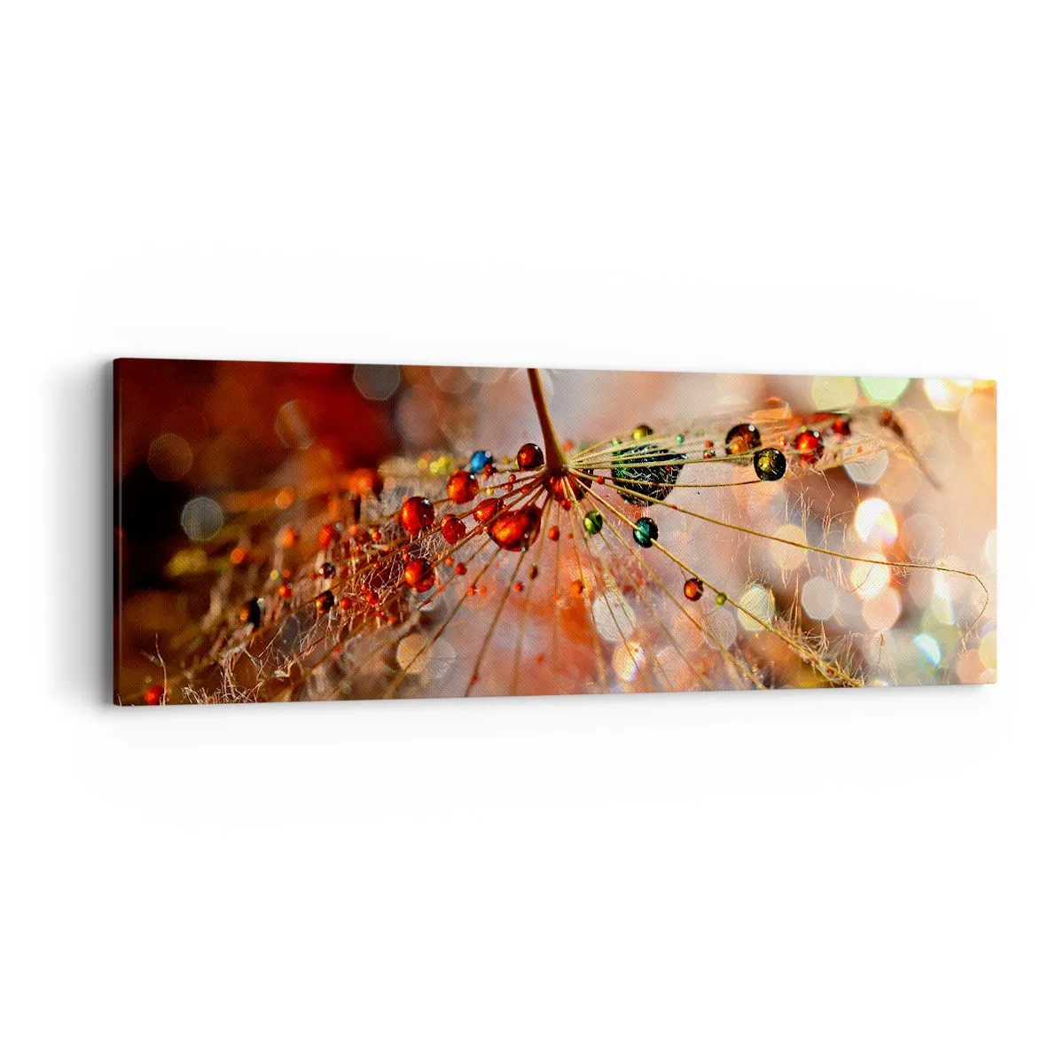 Obraz na plátně - Navlečeno na pavučinu - 90x30 cm