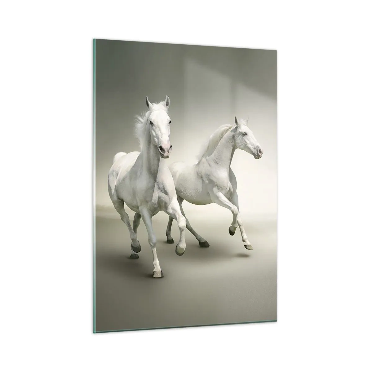 Obraz na skle - White power! - 50x70 cm