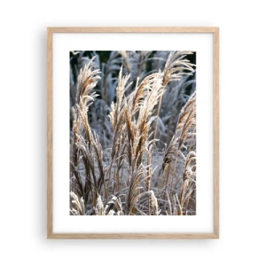 Plakát v rámu světlý dub - Mrazem pokryté - 40x50 cm