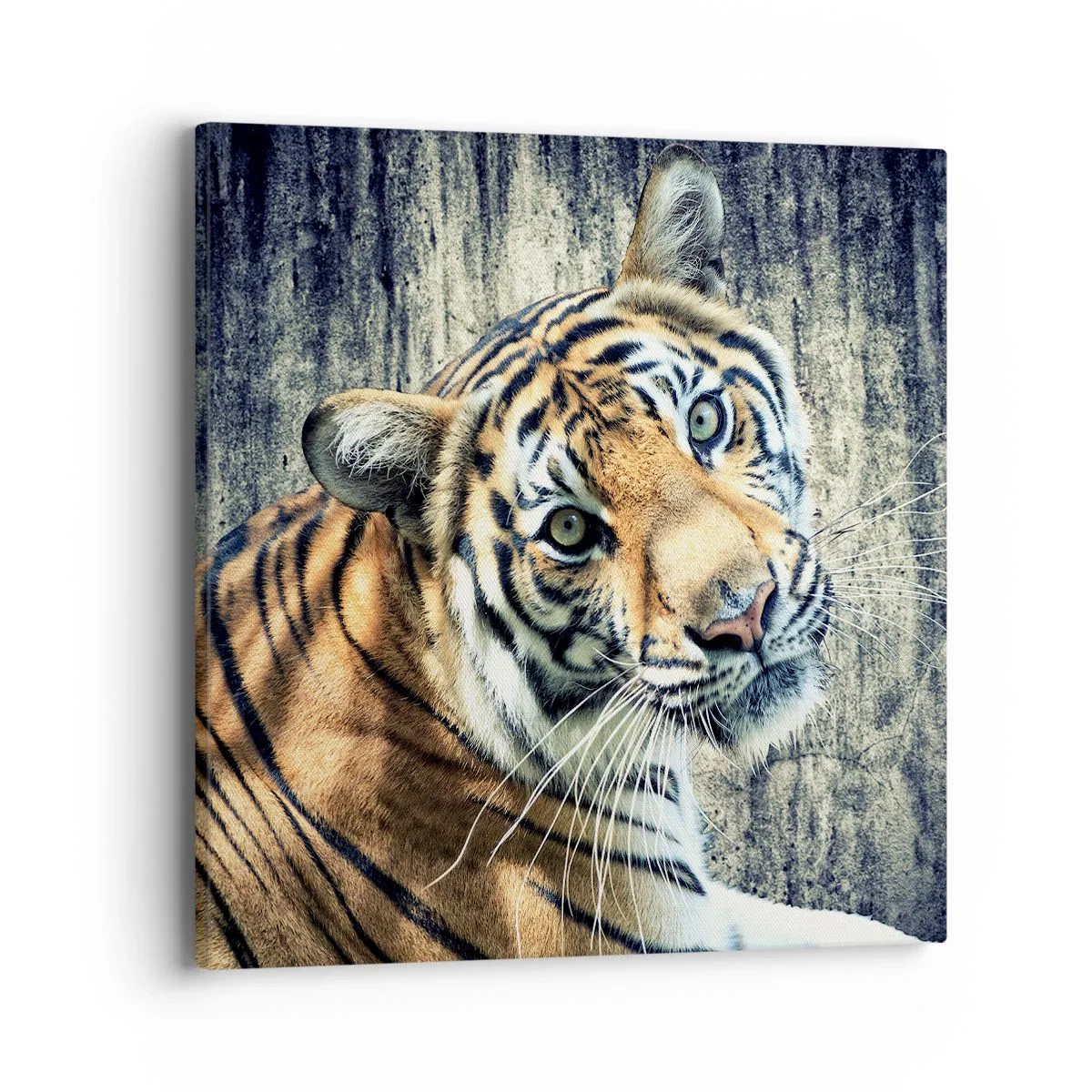 Obraz na plátně - Portrét v pramenech světla - 40x40 cm