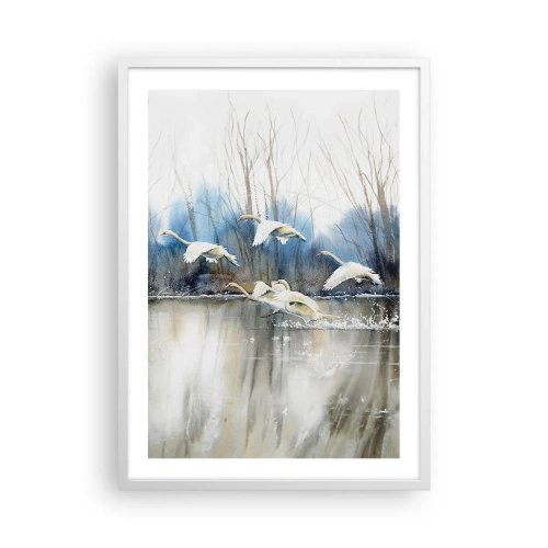 Plakát v bílém rámu - Jako v povídce o divokých labutích - 50x70 cm