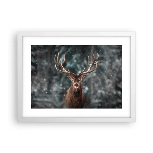 Plakát v bílém rámu - Skutečný král lesa - 40x30 cm