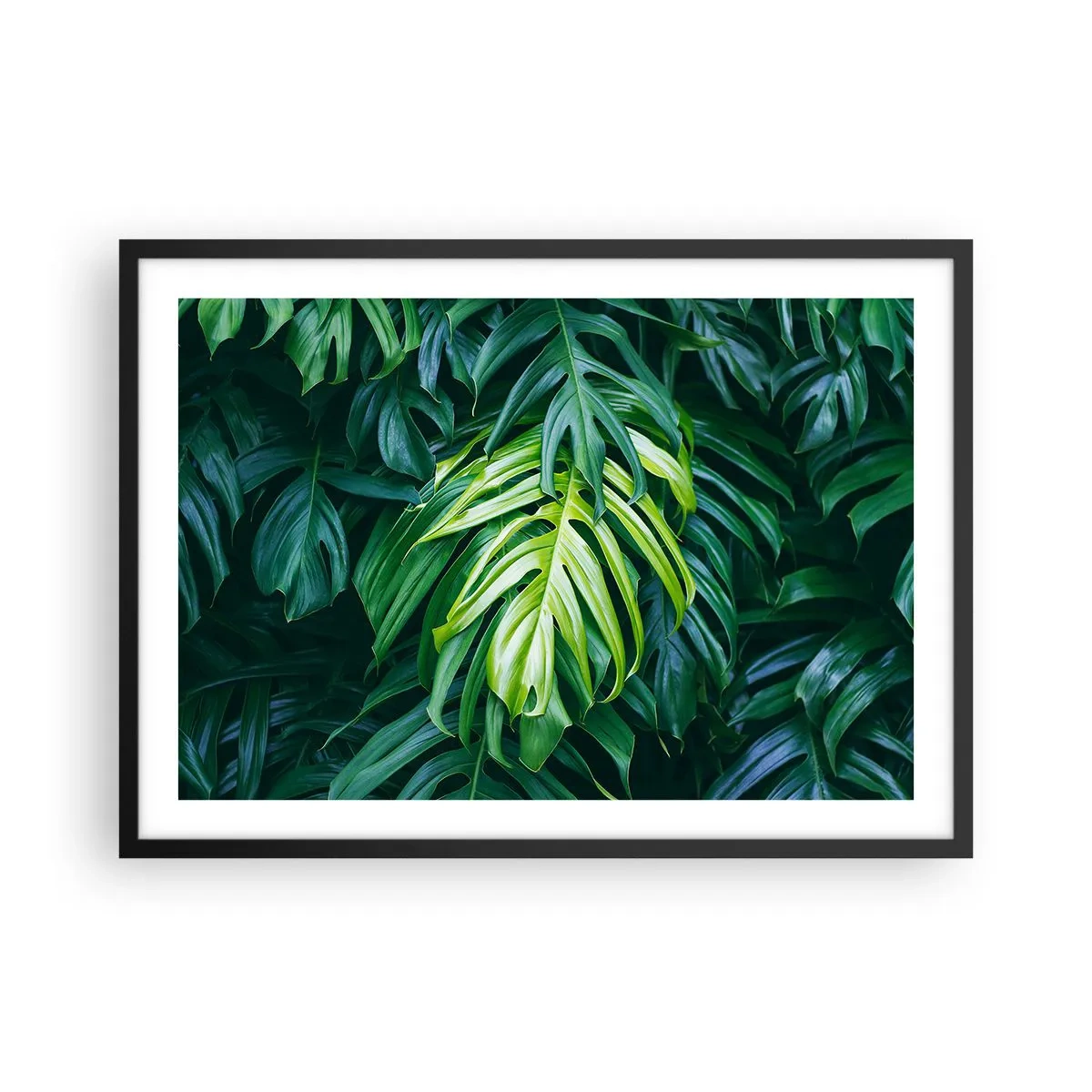 Plakát v černém rámu - Ponořit se do svěžesti - 70x50 cm