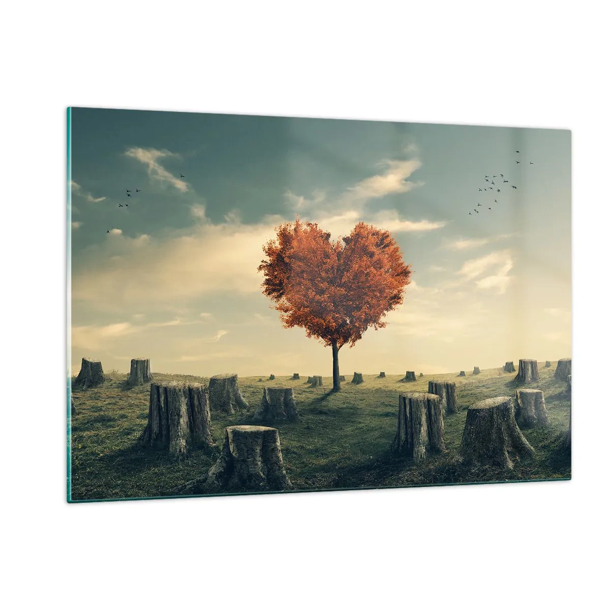 Obraz na skle - Pořád je ještě naděje - 120x80 cm