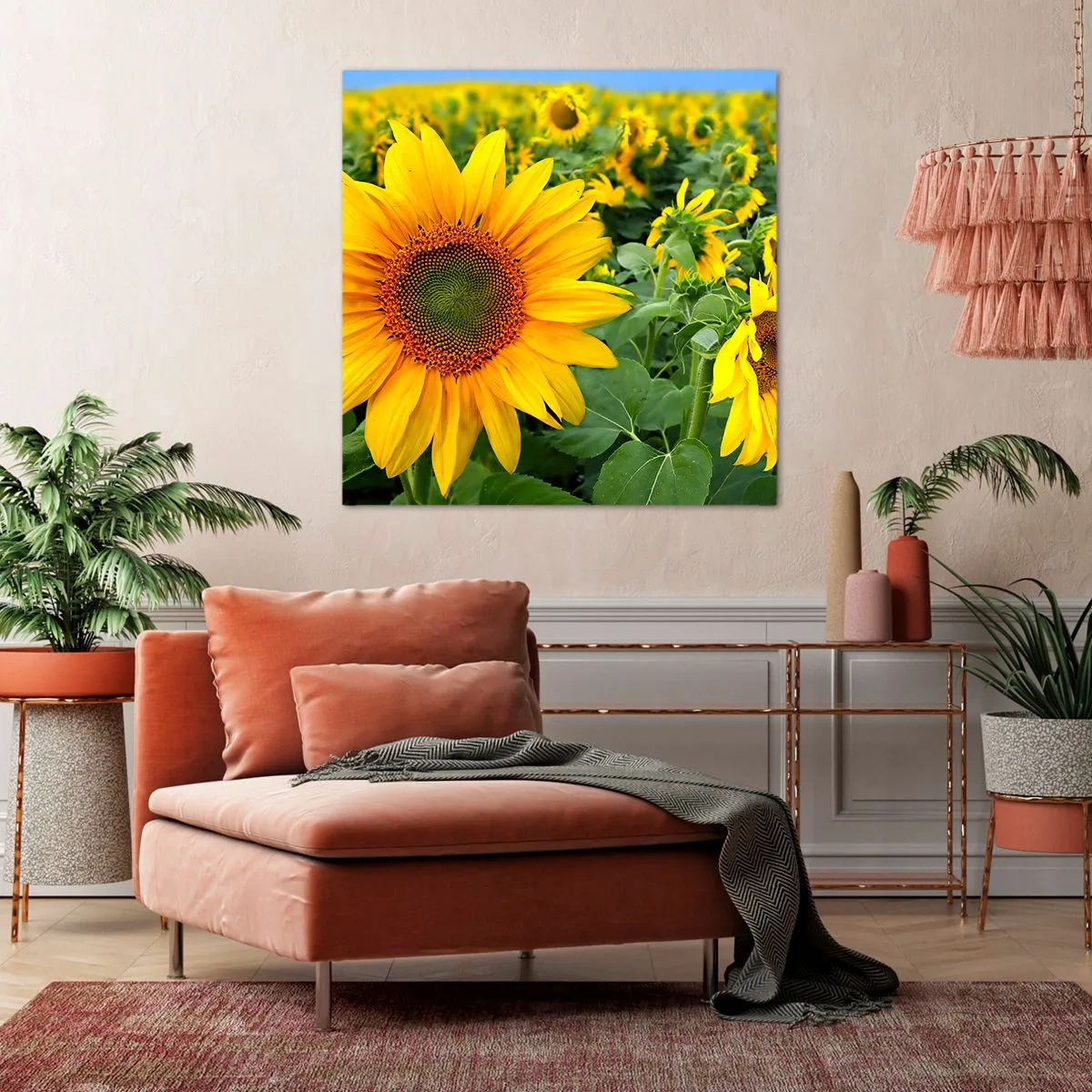 Obraz na plátně - Zahořely stovky sluncí - 70x70 cm