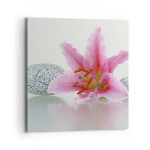 Obraz na plátně - Studie v růžové, šedé a bílé - 70x70 cm