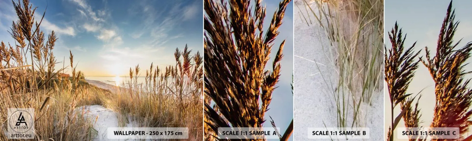 Fototapeta Vzorek Standard Eco - Severní pláž - Krajina, Moře, Pláž - 100x30 cm