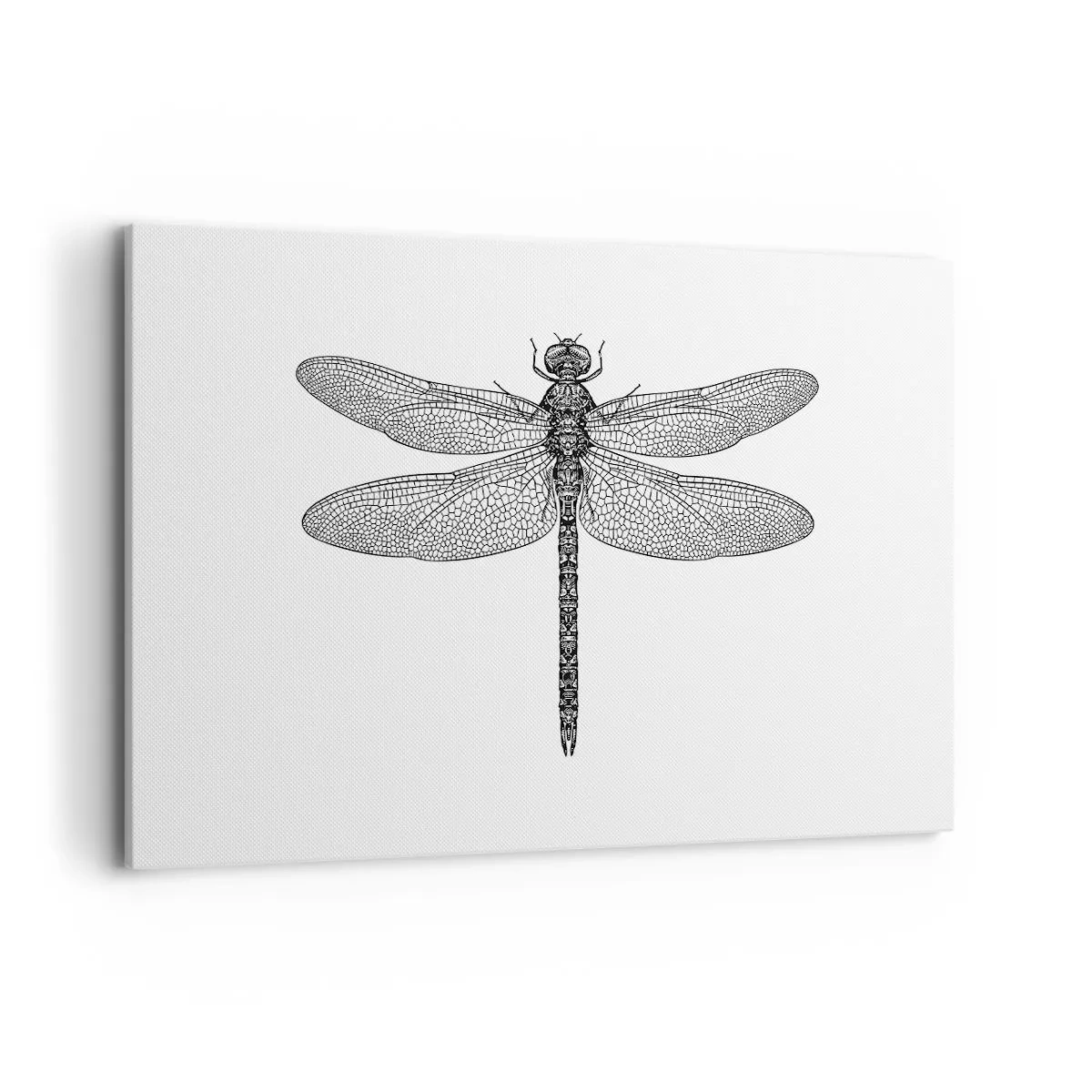 Obraz na plátně - Přesnost přírody - 120x80 cm