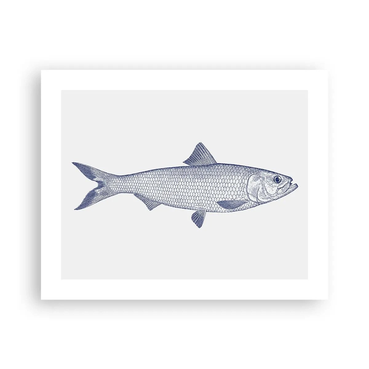 Plakát - Pozdravy ze severních moří - 50x40 cm