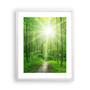 Plakát v bílém rámu - Zelená katedrála - 40x50 cm