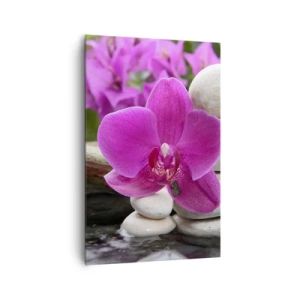 Obraz na plátně - Už odpočíváš - 80x120 cm