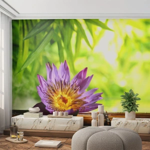 Fototapeta Standard Eco - Na asijském slunci - Květ, lotosový květ, Bambus - 400x280 cm