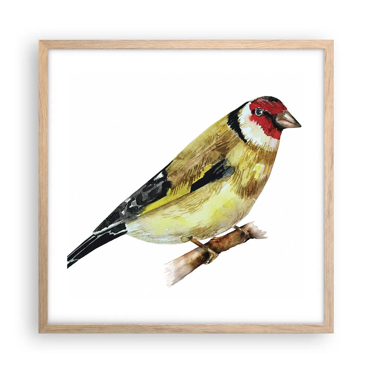 Plakát v rámu světlý dub - Ptáčí portrét - 50x50 cm