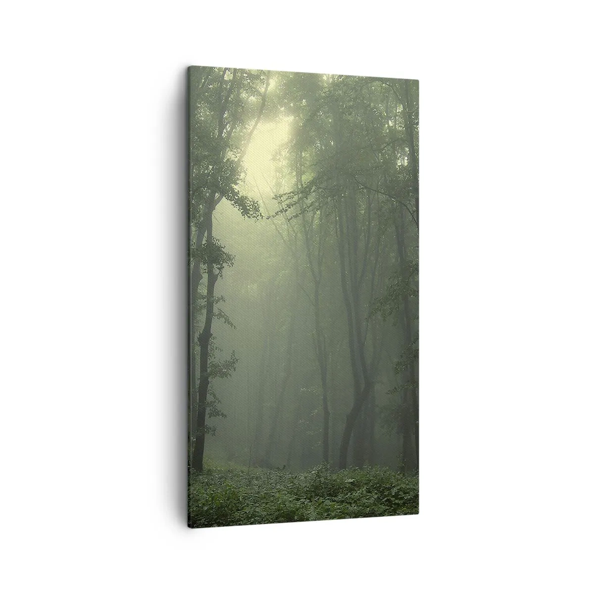 Obraz na plátně - Než se probudí - 45x80 cm