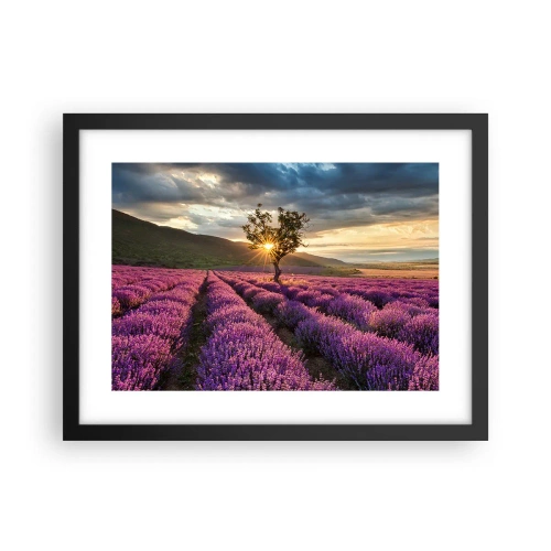 Plakát v černém rámu - Aroma v barvě lila - 40x30 cm