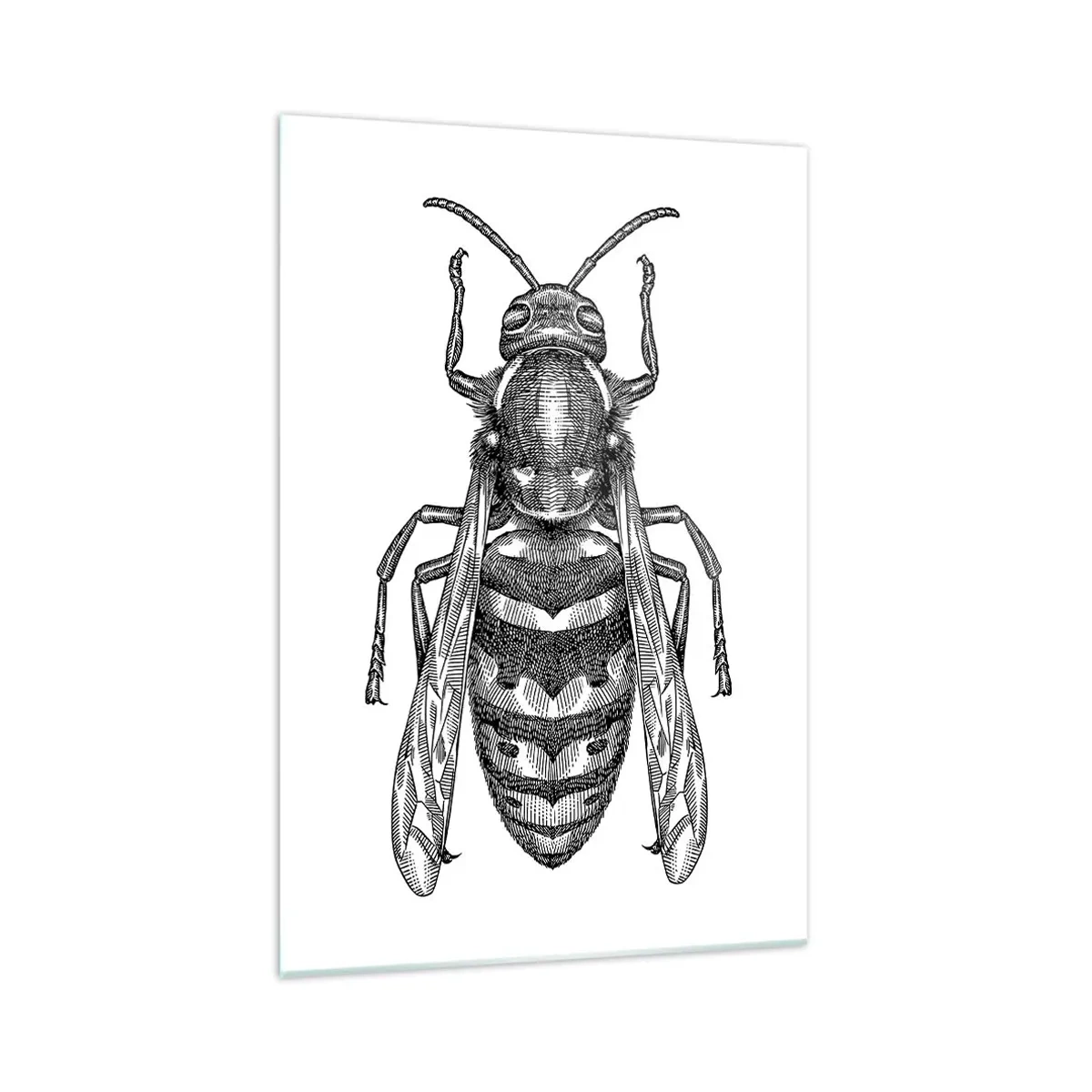 Obraz na skle - Z hmyzí planety - 70x100 cm