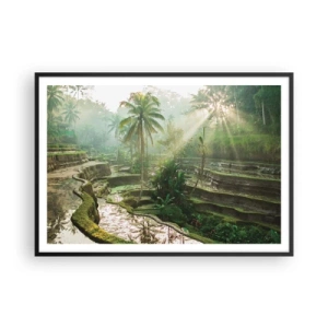 Plakát v černém rámu - Vyrůstát na slunci - 100x70 cm