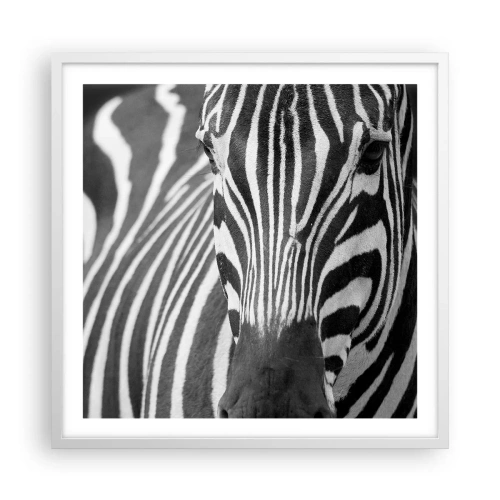 Plakát v bílém rámu - Svět je černo-bílý - 60x60 cm