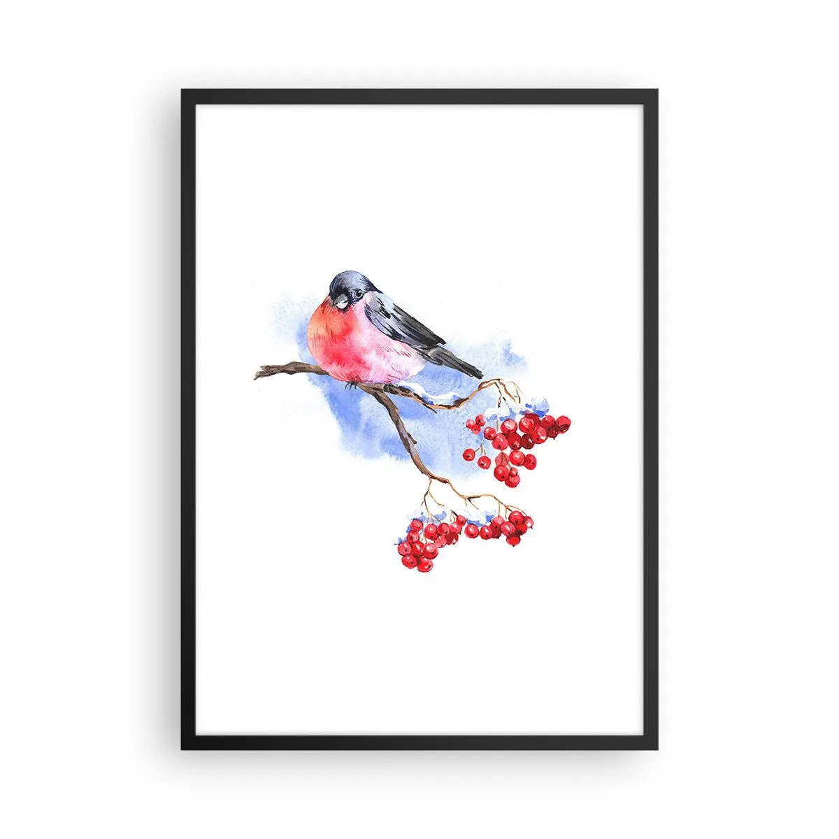 Plakát v černém rámu - Pták na větvi s červeným ovocem - 50x70cm - Barevná zima - Moderní nástěnná dekorace do obývacího pokoje a ložnice ARTTOR