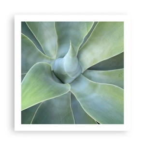 Plakát - Zrození zeleně - 60x60 cm