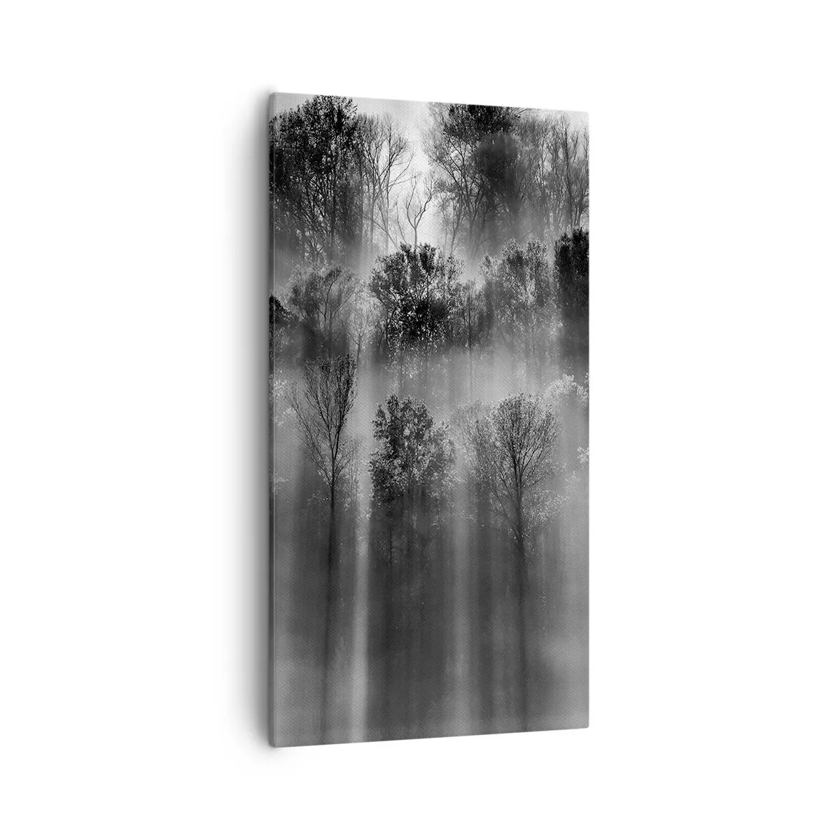 Obraz na plátně - V paprscích světla - 55x100 cm