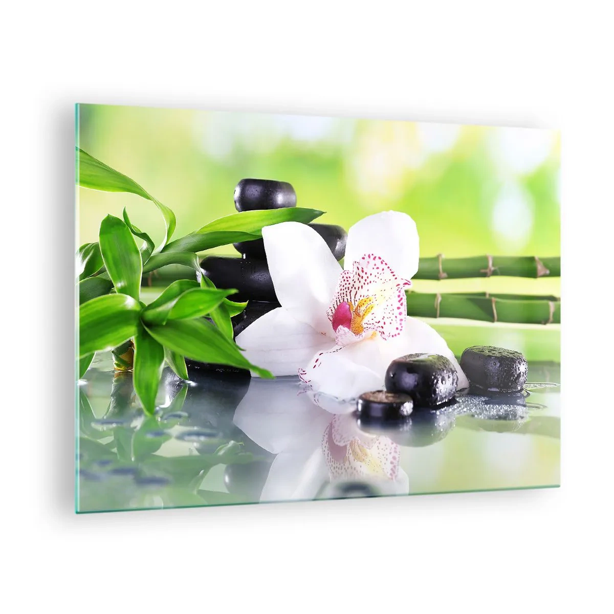 Obraz na skle - Orchidej, bambus a černé kameny na zeleném pozadí - 70x50cm - Chladná svěžest - Moderní nástěnná dekorace do obývacího pokoje a ložnice ARTTOR