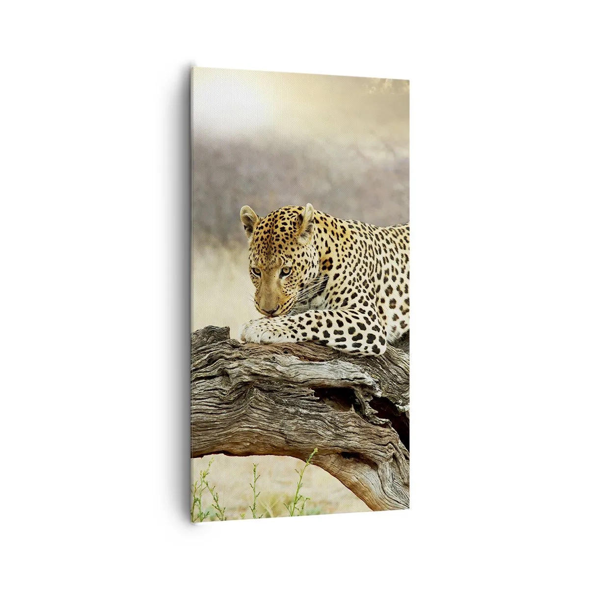 Obraz na plátně - Chodím vlastními cestami - 65x120 cm