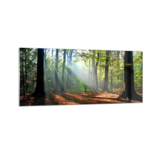 Obraz na skle - Světla a stíny - 100x40 cm