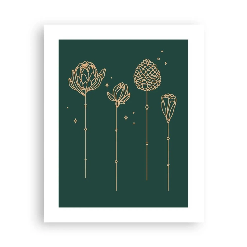 Plakát - Bylinky - 40x50 cm