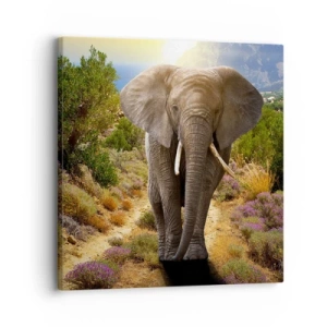 Obraz na plátně - Tak vypadal Ráj - 30x30 cm