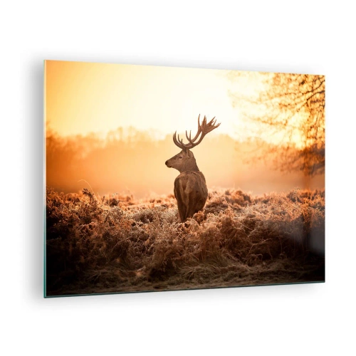 Obraz na skle - Jelen na pozadí východu slunce v přírodní krajině - 70x50cm - Pán na panství - Moderní nástěnná dekorace do obývacího pokoje a ložnice ARTTOR