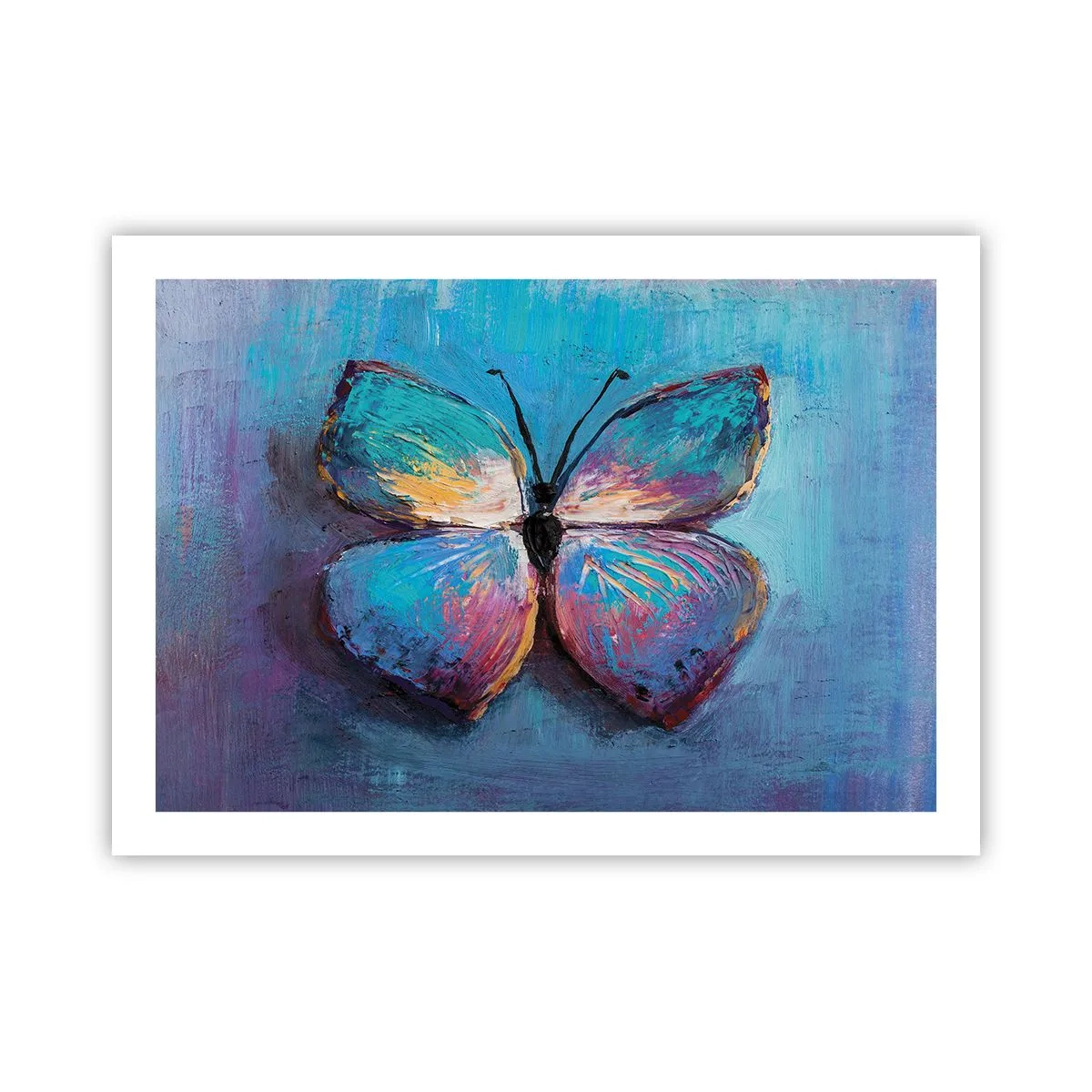 Plakát - V celé své kráse - 70x50 cm