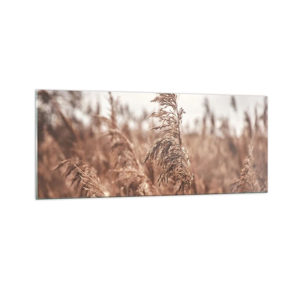 Obraz na skle - Na polích už je podzim - 100x40 cm