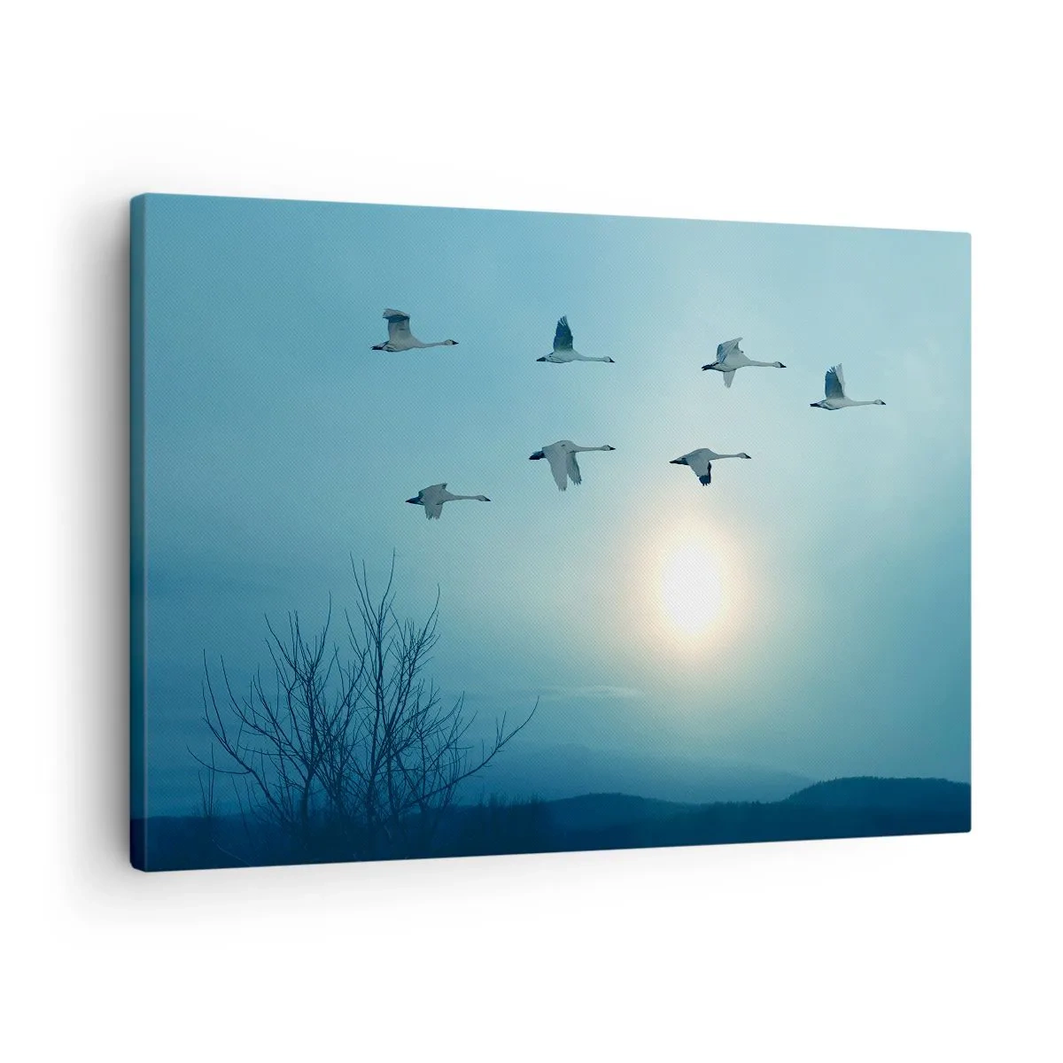 Obraz na plátně - Létající labutě ráno - 70x50cm - Sbohem léto na rok - Moderní nástěnná dekorace do obývacího pokoje a ložnice ARTTOR