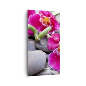 Obraz na plátně - Chlad a žár - 65x120 cm