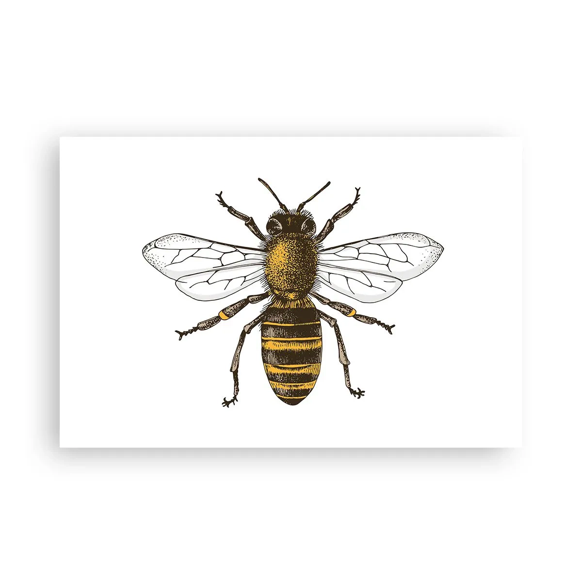 Plakát - Krásná a dobrá - 91x61 cm