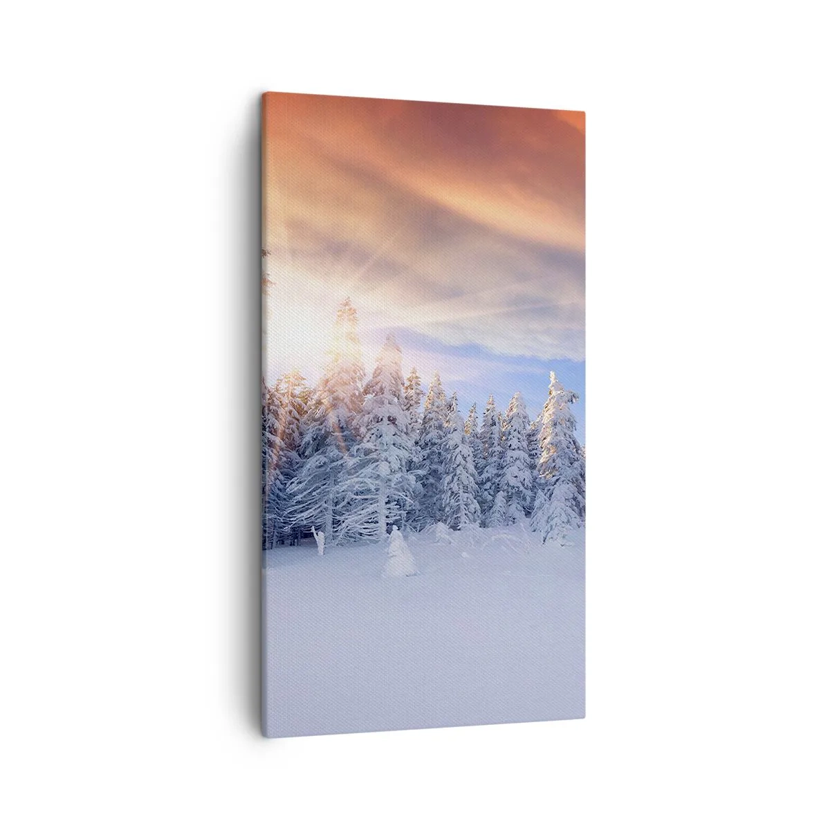 Obraz na plátně - Sněžné představení přírody - 45x80 cm